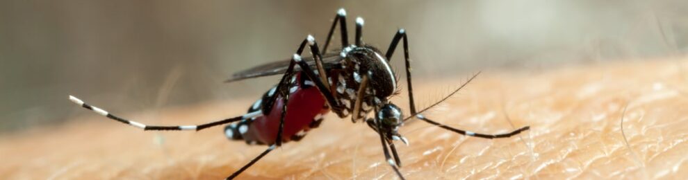 Defend Against Summer Bug Bites: Types, Prevention, and Urgent Care
