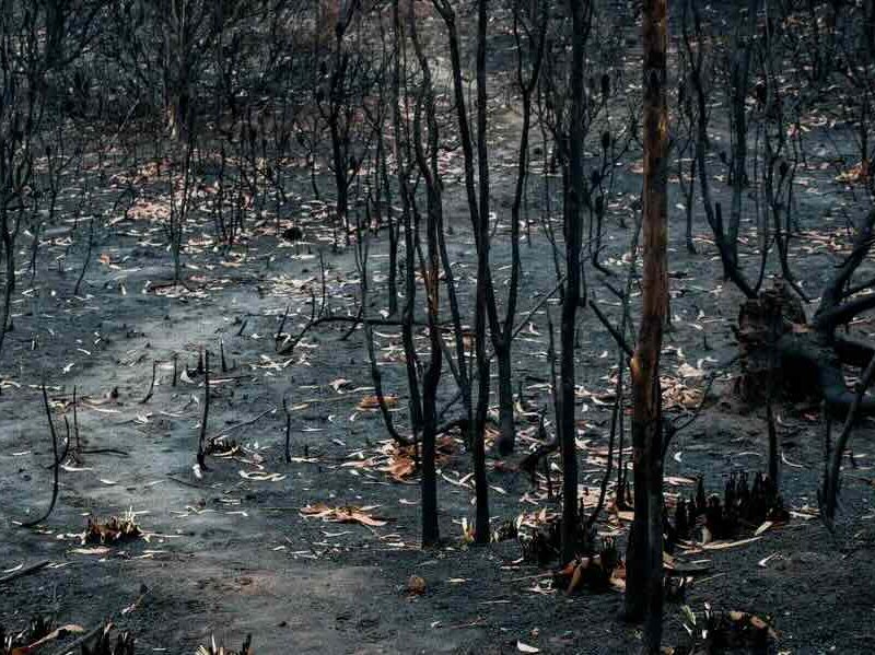 Wildfire destruction in Southern California