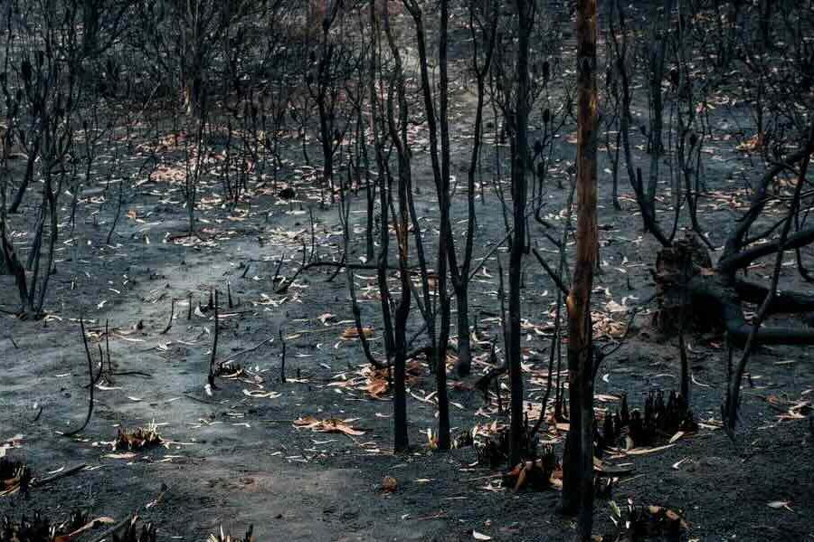 Wildfire destruction in Southern California