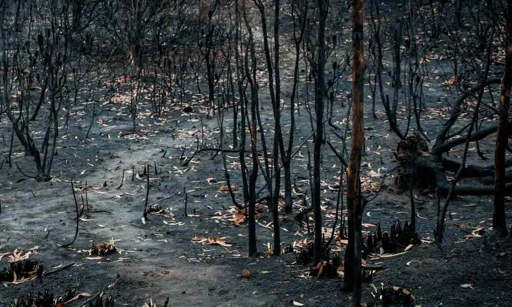 Wildfire destruction in Southern California